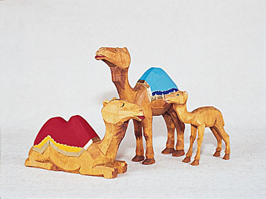 Kamele ohne Zaumzeug